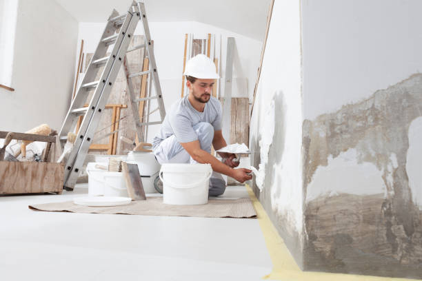 Best Environmental Consulting for Mold Prevention  in Three Lakes, FL