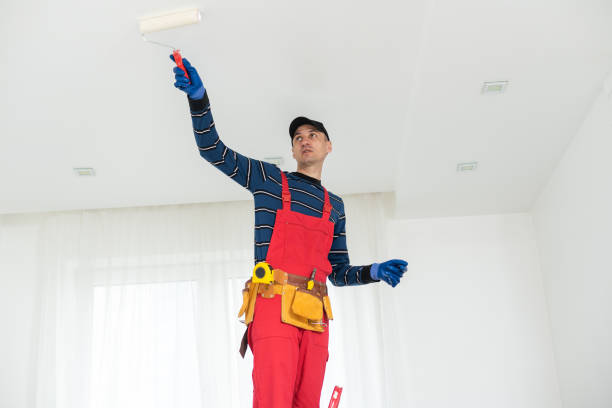 Best Dehumidification Services  in Three Lakes, FL