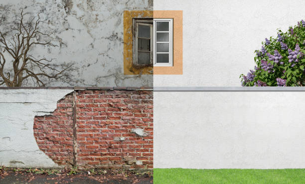 Best Mold Documentation for Insurance Claims  in Three Lakes, FL