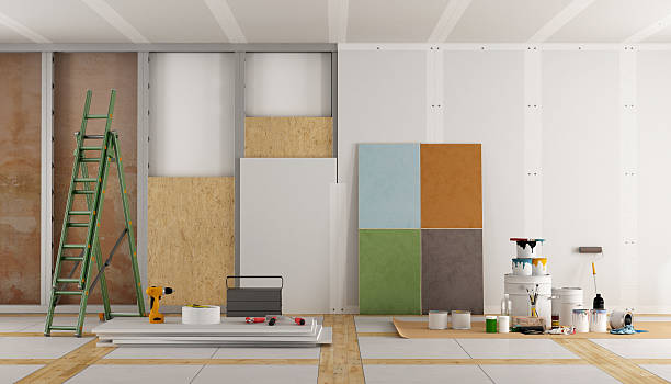 Best Attic Mold Removal  in Three Lakes, FL